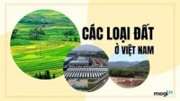 Luật Đất đai 2024 quy định việc xác định loại đất dựa trên những căn cứ nào? Luật Đất đai 2024 chia đất thành mấy loại?